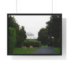 Load image into Gallery viewer, Deer Photographic Print from the JG Collection