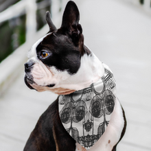 Load image into Gallery viewer, Skeleton dog bandana for your favorite pet at Ace Shopping Club USA