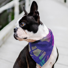 Load image into Gallery viewer, Living Colors Designer Pet Bandana