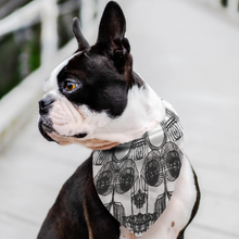 Load image into Gallery viewer, Skeleton dog bandana for your favorite pet at Ace Shopping Club USA
