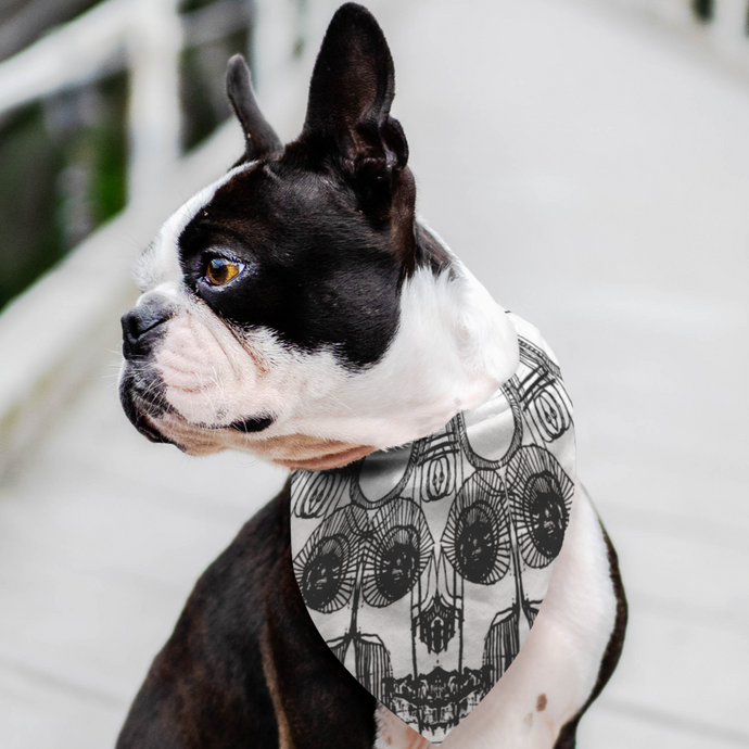 Skeleton dog bandana for your favorite pet at Ace Shopping Club USA