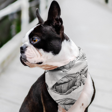 Load image into Gallery viewer, Give your furry friend a fresh new look with a fishy pet bandana! The triangular construction allows for easy and secure tying for a comfortable fit. Display it on the front, back, or sides of your pet’s collar area as a fashion forward look for your miniature companion.
