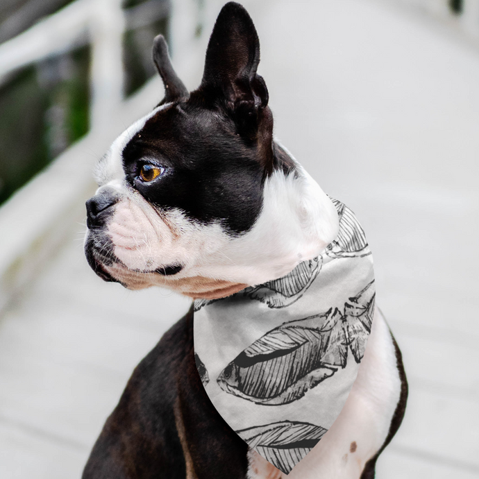 Give your furry friend a fresh new look with a fishy pet bandana! The triangular construction allows for easy and secure tying for a comfortable fit. Display it on the front, back, or sides of your pet’s collar area as a fashion forward look for your miniature companion.