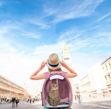Load image into Gallery viewer, This travel pet backpack is create to bring along your pet. This travel pet carrier is for cats and small dogs. Weight: 11-14.3 pounds ( 5-6.5kg). Material: Plastic. Feature: Breathable. Size: 12.2 x 16.5 x 11 inches Deep (31 x 42 x 28 cm Deep). Free shipping.   NOTE: IMPORTANT! Remove the protective film before usage. 
